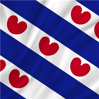 Image of Vlag Friesland 50 x 75 cm