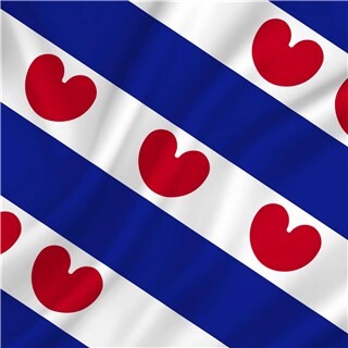 Image of Vlag Friesland 300 x 120 cm