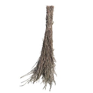 Image of Rijsbezem Van Gedroogde Berkentakken