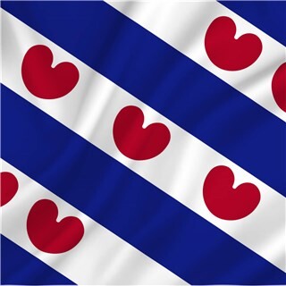 Image of Vlag Friesland 100 x 150 cm