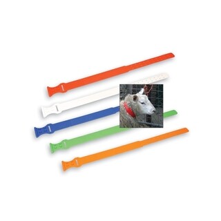 Image of Plastic halsband voor kleine dieren blauw