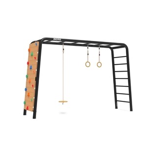 Image of BERG PlayBase Large TL met Schotelschommel, Ringen en Klimwand