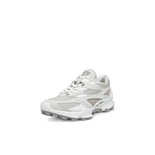 Image of Ecco Biom C-trail Retro Shadow White/gravel/white 39