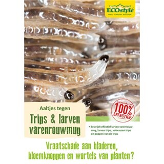 Image of ECOstyle Aaltjes (F) Bestrijdingsmiddel Tegen Varenrouwmug Larven - 50m²