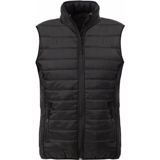 Image of Heren Lichtgewatteerde Bodywarmer