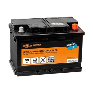 Image of Gallagher Accu 12V / 80ah Premium LA - 278 x 175 x 190