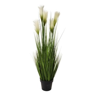 Image of Plant Spriet In Pot - 118 cm