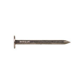 Image of Schalienagel/bouwplaatnagel BK DIN 1160A Ø3,00x25 A2 RVS