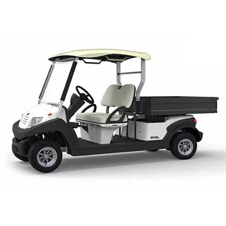 Image of Bensel Golfkar met grote laadbak BSN2LC Lithium