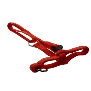 Image of HALSTER KOE NYLON ORANJE