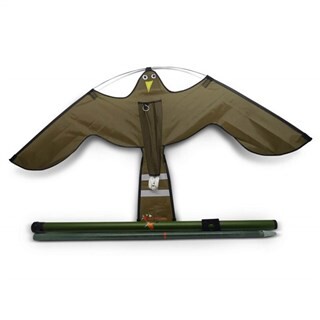 Image of Vogelverjager Hawk Kite - 10 Meter