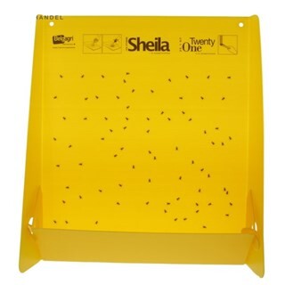 Image of Twenty-One Paneel