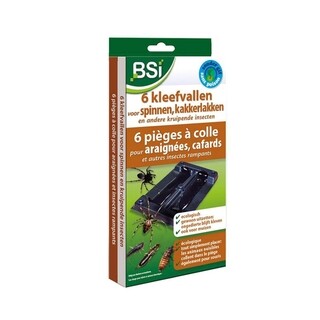Image of BSI Kleefvallen tegen Spinnen - 6 stuks