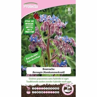 Image of Protecta Groente Zaden Bernagie - Komkommerkruid