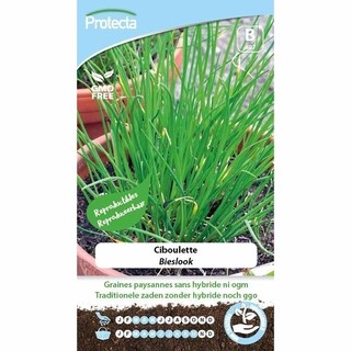 Image of Protecta Groente Zaden Bieslook - Fijn