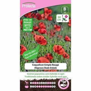 Image of Protecta Bloemzaden Klaproos Rode Enkele - Papaver