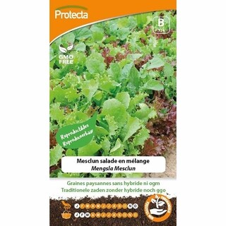 Image of Protecta Groente Zaden Mengsla - Mesclun
