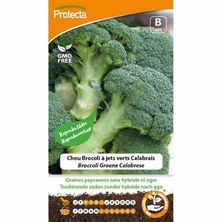 Image of Protecta Groente Zaden Broccoli - Groene Calabrese