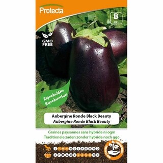 Image of Protecta Groente Zaden Aubergine - Ronde Black Beauty 