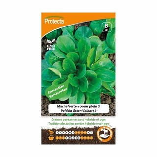 Image of Protecta Groente Zaden Veldsla - Groen Volhart 3