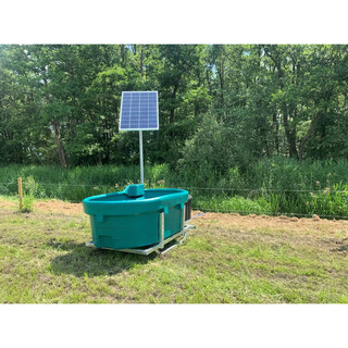 Image of Suevia Mobiele Weidedrinkbak Solar - Kunststof - Met Slede - 1000 Liter - Oppervlaktepomp - 115 W