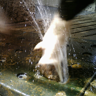 Image of Vink Klauwen Sproeimat - 4 Units (= 160 x 80 cm)