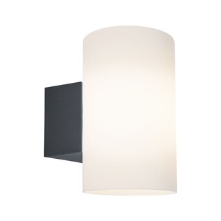 Image of Paulmann Wandlamp Buiten 8 W Tube IP54 Antraciet