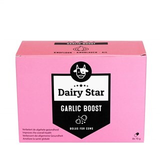 Image of Dairy Star Garlic (Knoflook) Boost Bolus