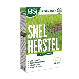 Image of BSI Graszaad Snel Herstel - 1 Kg