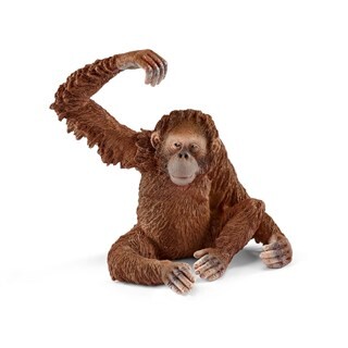 Image of schleich WILD LIFE Orang-oetanvrouwtje - 14775