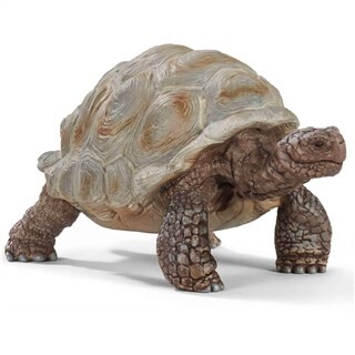 Image of schleich WILD LIFE Reuzenschildpad - 14824