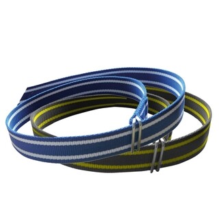 Image of Computerhalsband (Wit-Blauw) met Schalmsluiting - 130 Cm / 40 MM