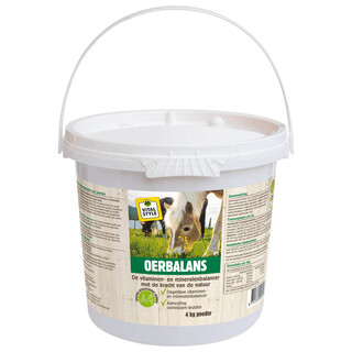 Image of VITALstyle OerBalans Poeder Emmer 4 KG