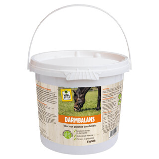 Image of VITALstyle DarmBalans 4 KG