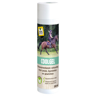 Image of VITALstyle CoolGel 250 ML