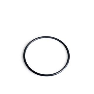 Image of Intex O-Ring Voor Filterbehuizing