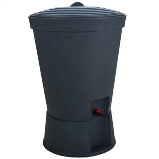 Image of REGENTON MET DEKSEL EN SOKKEL