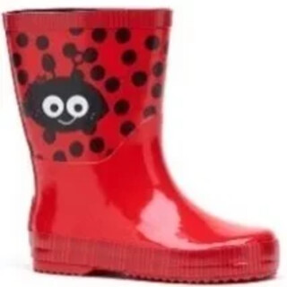 Image of Rouchette Z'amis Anabel Rood 25