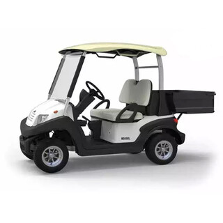 Image of Bensel Golfkar met laadbak 2 personen BSN2C Lithium