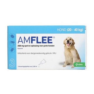 Image of Amflee Hond Large 20-40kg - 3 Pipetten