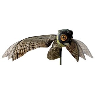 Image of Prowler Owl - Amerikaanse Oehoe - 100cm