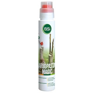 Image of BSI Arbopasta Magic 250 Gram