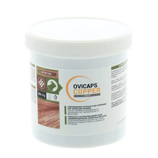 Image of Ovicaps Copper Sheep 250pcs