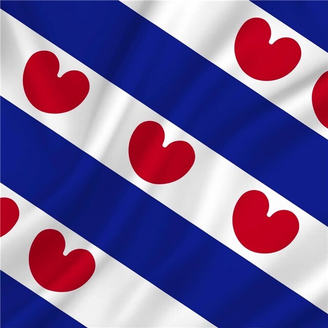 Product image 1 of Vlag Friesland 50 x 75 cm