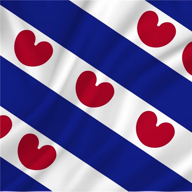 Product image 1 of Vlag Friesland 100 x 150 cm