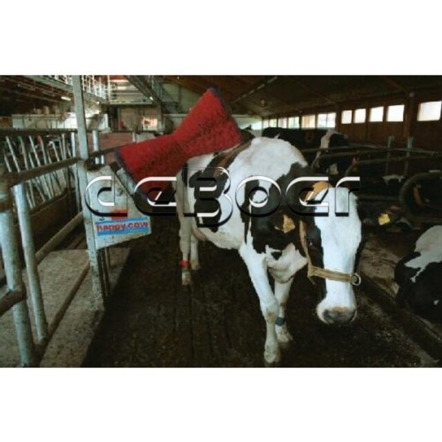 Product image 1 of Happy Cow losse koeborstel (oud model)