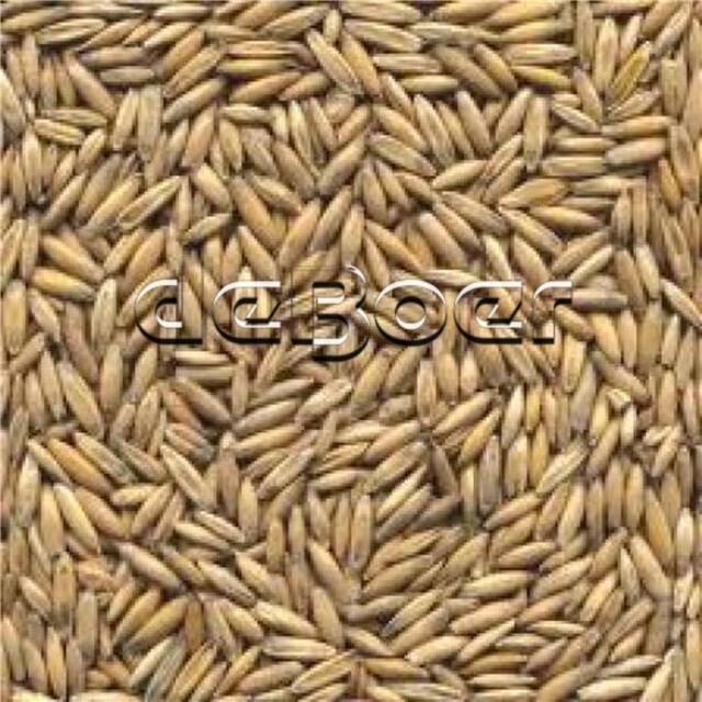 Product image 1 of Paardenbrok gepunte haver 20Kg