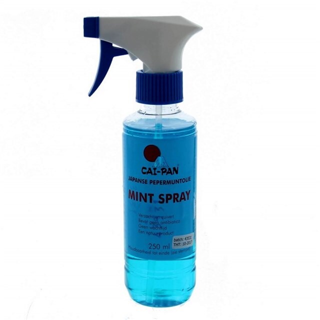 Product image 1 of Cai-Pan Mintspray (Sprayflacon) - 250 ML