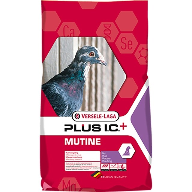 Product image 1 of Versele-Laga Plus I.C. + Mutine Duivenvoer - 20 Kg