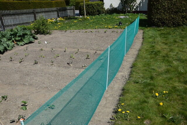 Product image 1 of De Boer Universele Tuinafscheiding (Schrikdraadvrij / 80 Cm) - 20 Meter